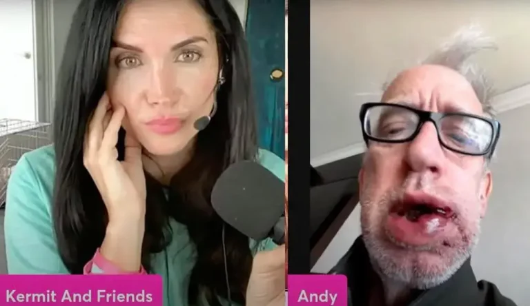 Kermit and Friends Andy Dick Face