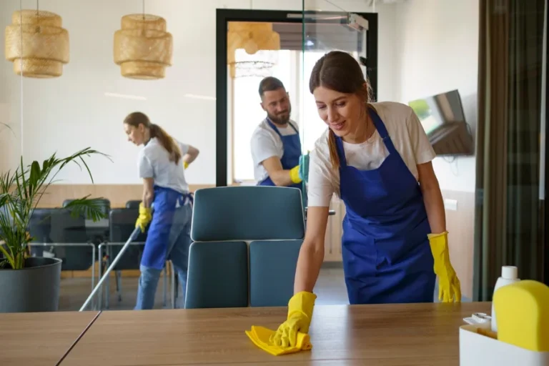 Move Out House Cleaning Checklist for a Smooth and Stress-Free Move House Cleaning Checklist