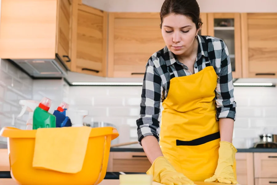 Role of Professional Cleaning Services