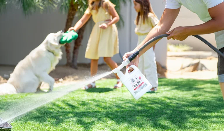 Professional Flea and Tick Yard Treatment: A Microclimate Map of North Texas Lawns Professional Flea and Tick Yard Treatment